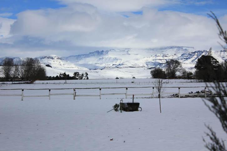 Karmichael Farm Konuk evi Himeville Dış mekan fotoğraf