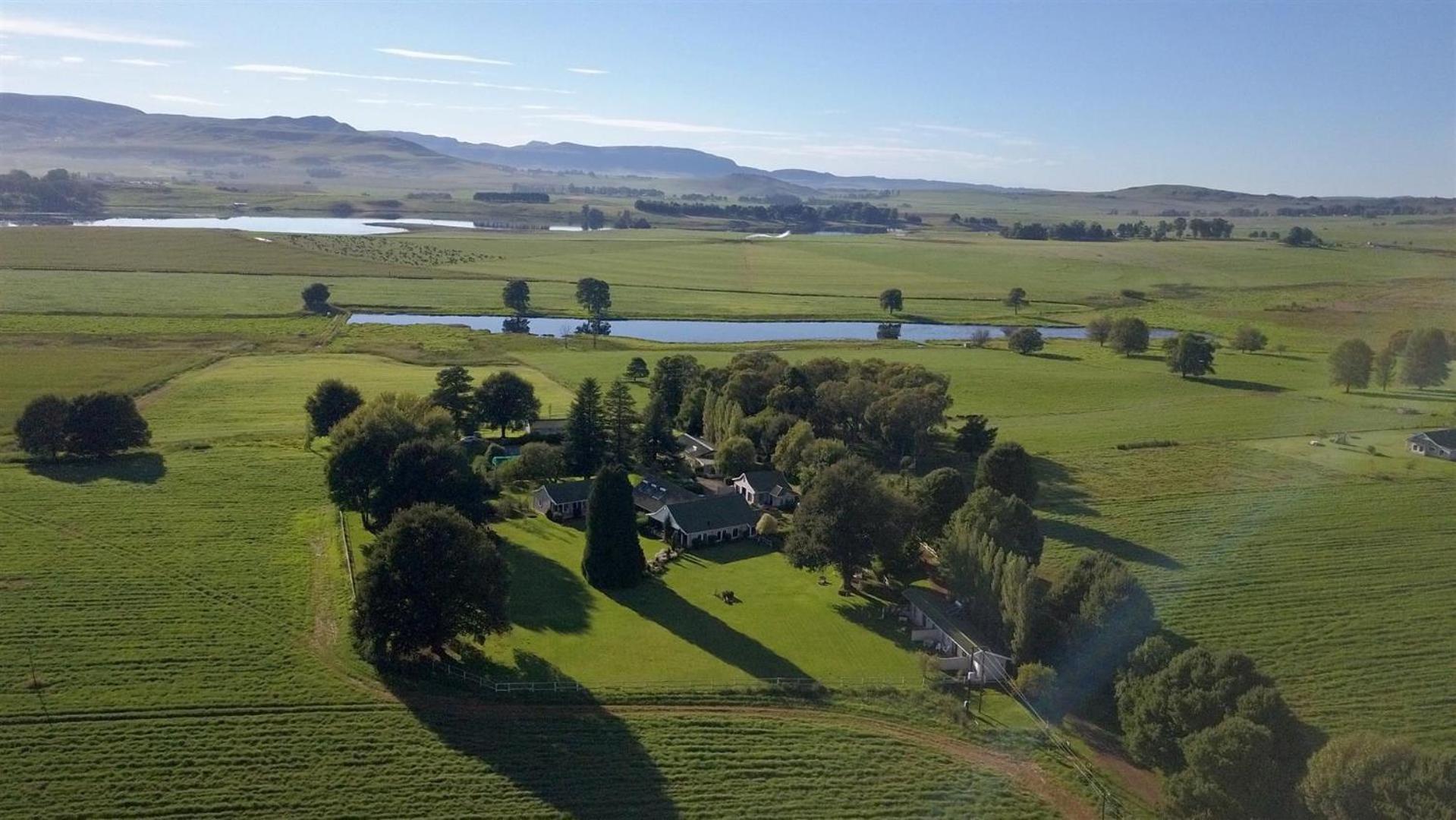 Karmichael Farm Konuk evi Himeville Dış mekan fotoğraf