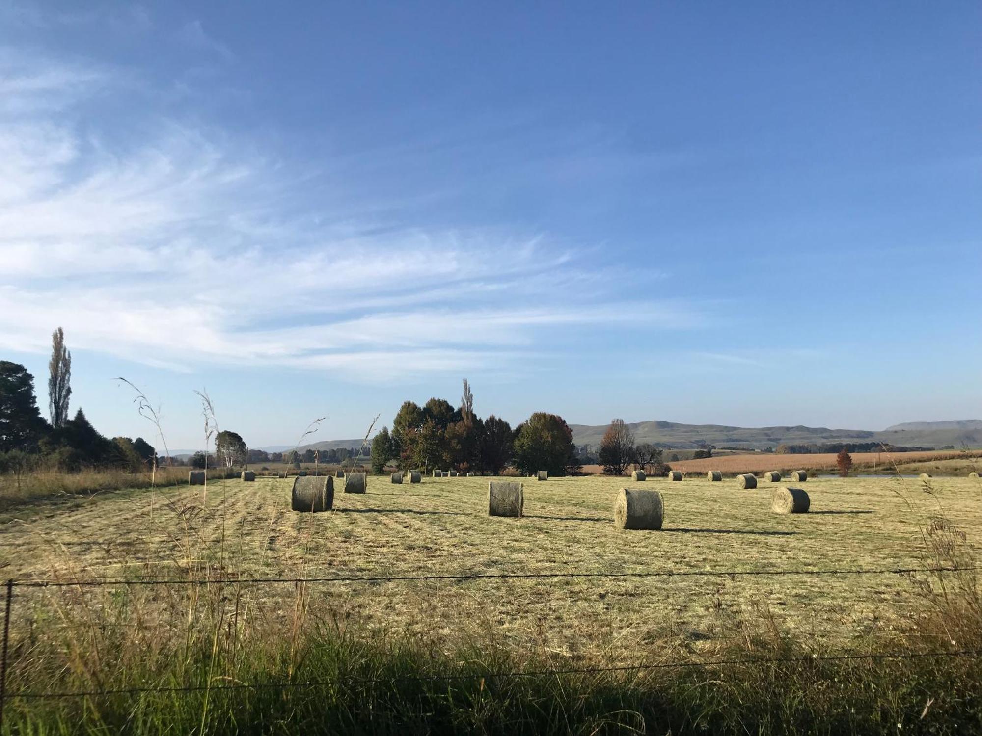 Karmichael Farm Konuk evi Himeville Dış mekan fotoğraf